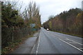 View Northward along the B4116 Bentley Common Road