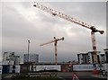 Cranes at Victory Pier Development