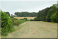 Farmland south of Aldridge, Walsall