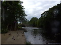 Feeding the ducks at Ilkley