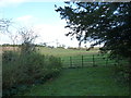 Looking from Ashe Churchyard over a fence into Lower Ashe Farm