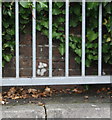 Benchmark on Sterte Road railway bridge