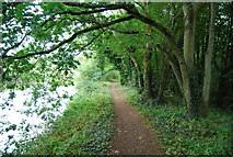 TQ6547 : Medway Valley Path by N Chadwick