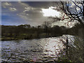 River Goyt, Downstream from Chadkirk Weir