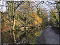 Peak Forest Canal Near Chadkirk