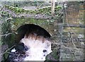 SE0023 : Culvert under ruined mill, Cragg Vale by Humphrey Bolton