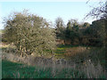 Dry pond above Burton