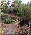 NS4276 : Footbridge over the Overtoun Burn by Lairich Rig