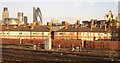 Towers of London, seen over the Arnold Estate in Bermondsey