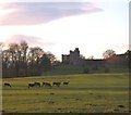 Hornby Park and Castle