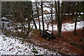 Abandoned tractor in Glan-y-nant