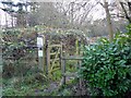 Rugby-Windmill Spinney Nature Reserve