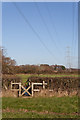 Footbridge west of Cutlers Farm