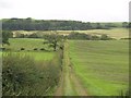 Field Track towards River Dee