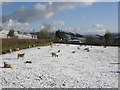 Snow at Heath Poult Cross