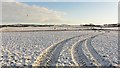 Snow covered field near Grangehall