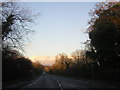 Main road north through Epping Forest, winter afternoon