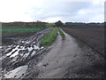 Footpath towards Methley Lane