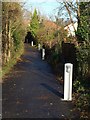 Bridleway near Wren Park