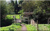 SO8480 : Footbridge over the River Stour, looking towards the Staffs & Worcs Canal, near Caunsall by P L Chadwick