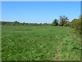 Part of the Clwydian Way near St Asaph