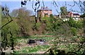 Bridge and fields by River Stour, near Caunsall