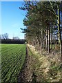 Footpath To Footherley