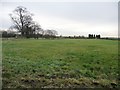 Field east of Steeton Gatehouse