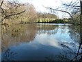 Pond east of Enton Hall