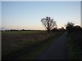 SE6143 : Cycle path to Selby by DS Pugh