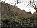 Buttressed garden walls