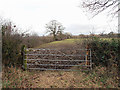 Muddy field and gate