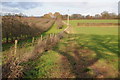 Farmland at Breinton