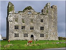 R2393 : Leamaneh Castle, near Kilfenora, Co. Clare by P L Chadwick