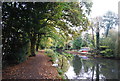 Towpath, Basingstoke Canal