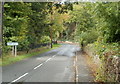 SE boundary of Cwm-bach, Powys