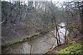 The River Tonge by Tonge Cemetery