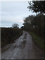 SY1588 : Minor road towards Dunscombe by David Smith