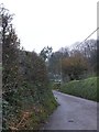 Cotte Barton on the edge of Street