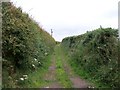 Farm lane leading south from Point Road