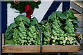 Brussels Sprouts at Fanny