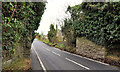 Old railway bridge, Newport/Culcavy (2)