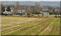 Field near Culcavy