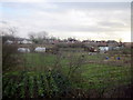 Stoke Prior Allotments Between Worcester & The Birmingham to Bristol Train Lines