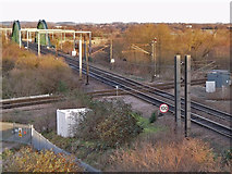 SK8055 : Newark flat rail crossing by J.Hannan-Briggs