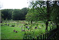 Cemetery at Shottermill