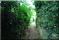 Footpath off Pitfold Avenue