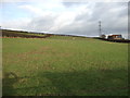 Farmland off Batley Road