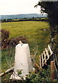 Triangulation Pillar at Tump Farm