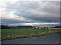 Fields off Riding Lane, Stubshaw Cross